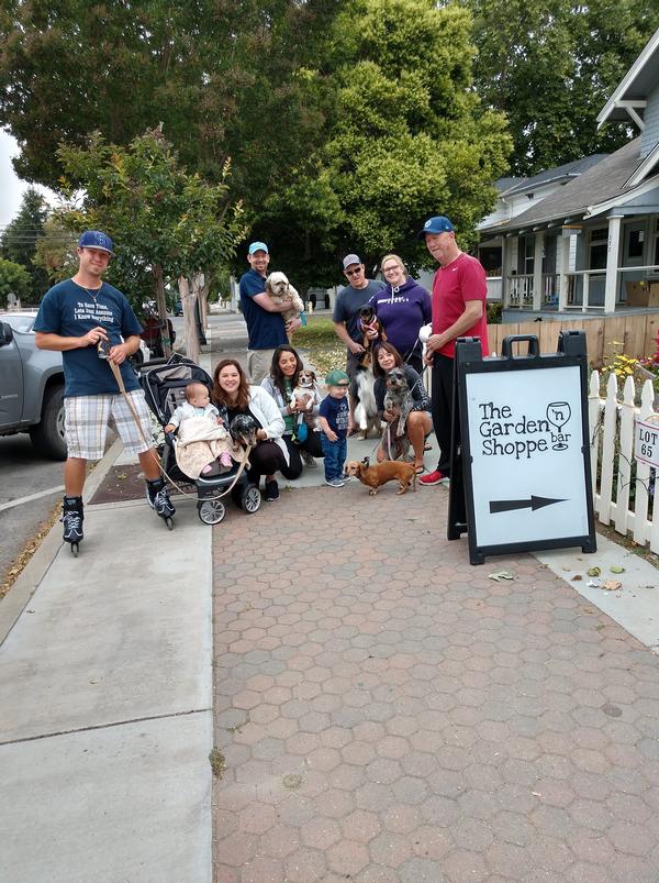 Bow Ties & Barkers: Dog Walking Club